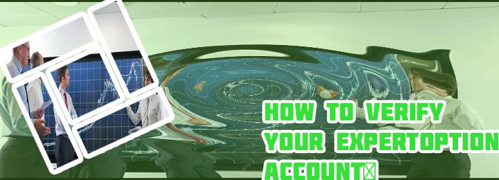 Forex brokers that don't need verification