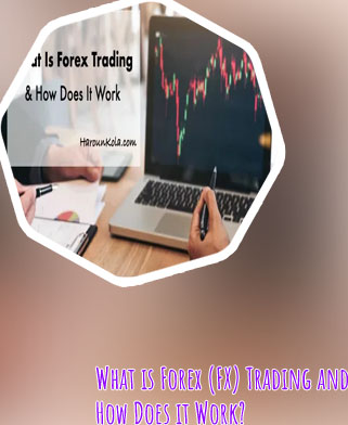 How does forex trading work in india