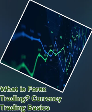 What is stock and forex trading in india